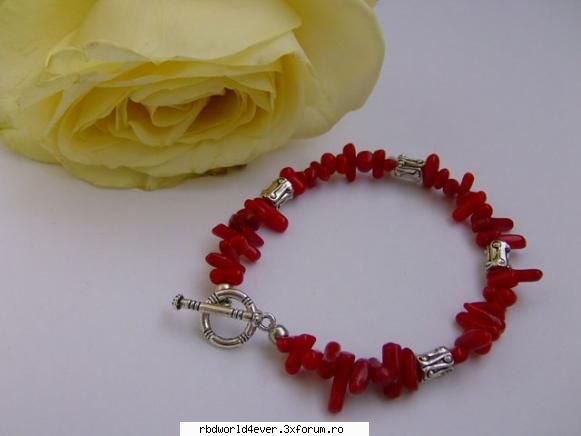 Accesorii - raluca_dragutza52 - Fashion
