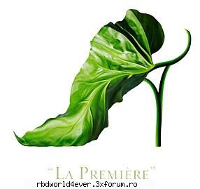 Incaltaminte - **Chris_Pollito** - Fashion