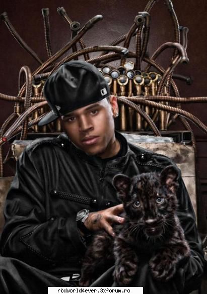 chris brown Administrator